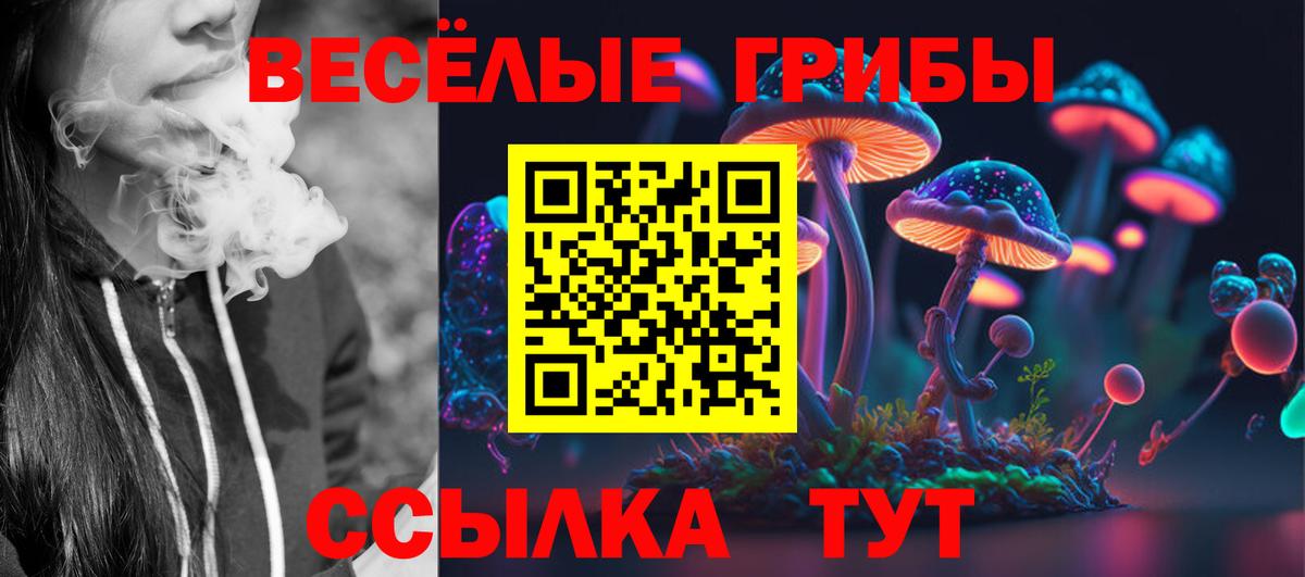 Псилоцибиновые грибы Psilocybe Рассказово