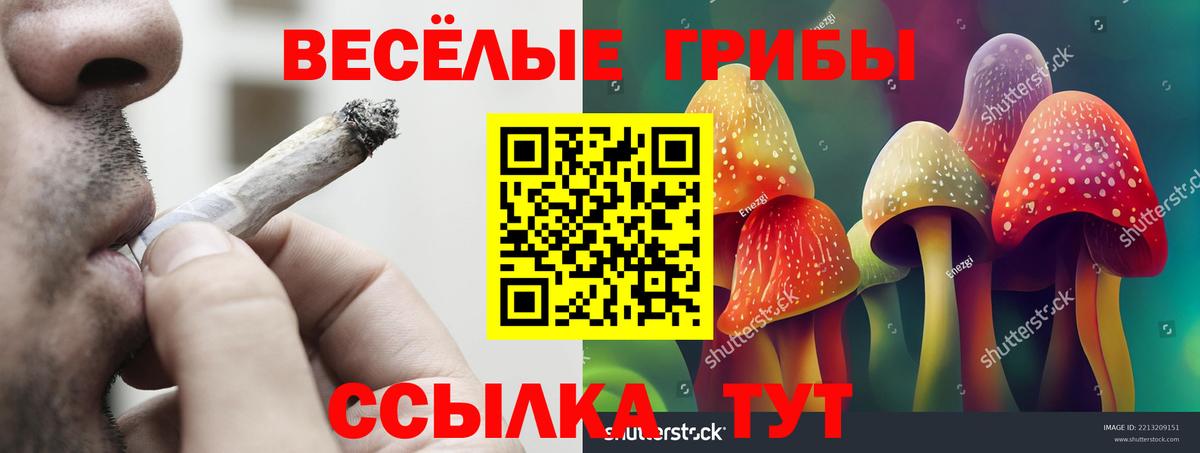 Псилоцибиновые грибы MAGIC MUSHROOMS  закладка  Рассказово  Вход с VPN 